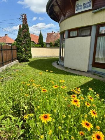 Cozy Garden Apartman Leilighet Gyula Eksteriør bilde